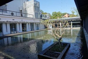 大溪老茶廠 桃園寵物友善景點 Yu Ching提供