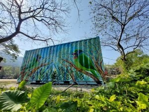 桃園寵物友善景點 富田花園農場