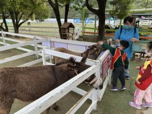 桃園寵物友善景點 富田花園農場