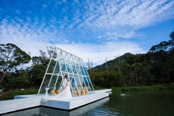 桃園寵物友善景點 富田花園農場