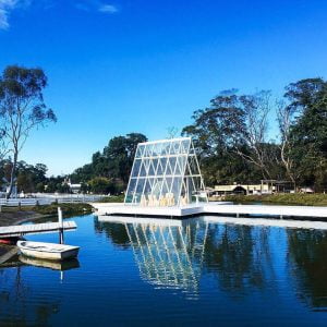 桃園寵物友善景點 富田花園農場