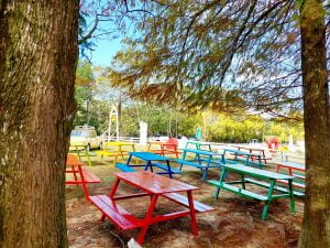 桃園寵物友善景點 富田花園農場