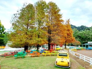 桃園寵物友善景點 富田花園農場