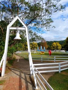 桃園寵物友善景點 富田花園農場