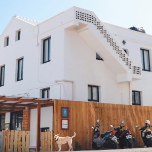 澎湖縣馬公寵物友善餐廳 小島家Brunch