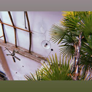 澎湖縣馬公寵物友善餐廳 小島家Brunch