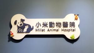 桃園貓狗動物醫院-小米動物醫院