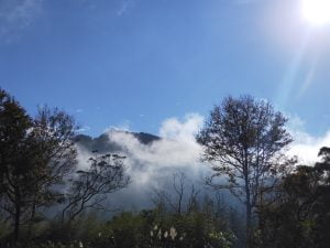 桃園寵物友善景點 山上陽光休閒農莊