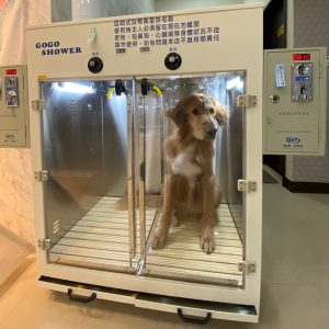 petsyoyo寵遊網－寵物友善預訂平台-寵物美容 毛嘟洽寵物自助洗