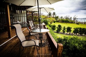 petsyoyo寵遊網-花蓮寵物友善民宿 花蓮海元素178民宿