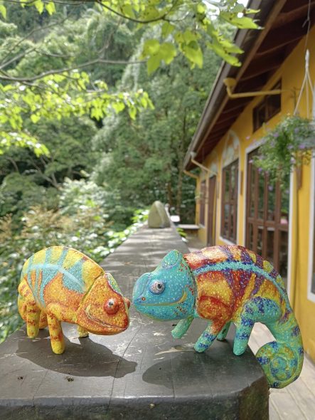 相遇森林屋 苗栗南庄寵物友善餐廳