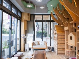 宜蘭礁溪寵物友善飯店-美嘉美大飯店