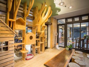 宜蘭礁溪寵物友善飯店-美嘉美大飯店