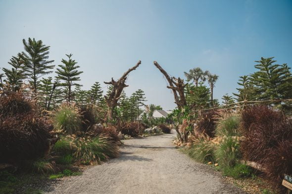 自然圈農場-寵物友善露營 苗栗縣卓蘭-Petsyoyo寵遊網