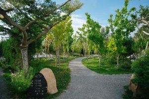 自然圈農場-寵物友善露營 苗栗縣卓蘭-Petsyoyo寵遊網