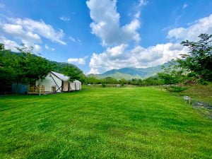 遠山望月溫泉風呂 露營區-高雄市六龜寵物友善露營 - Petsyoyo寵遊網