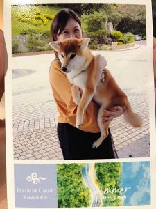 petsyoyo寵遊網-南投日月潭寵物友善住宿 雲品溫泉酒店 Yu Ching提供