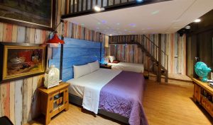 petsyoyo寵遊網－屏東恆春寵物友善民宿 墾丁牧場Villa民宿-獨棟星空家庭房