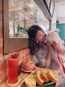 petsyoyo寵遊網-台北大安寵物友善餐廳 BonicaCafe