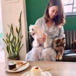 petsyoyo寵遊網-台北大安寵物友善餐廳 BonicaCafe