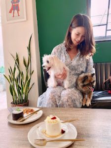 petsyoyo寵遊網-台北大安寵物友善餐廳 BonicaCafe