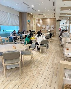 petsyoyo寵遊網-台中西屯寵物友善餐廳 Woosa洋食屋莎鬆餅屋 米克斯菲菲的走跳日記