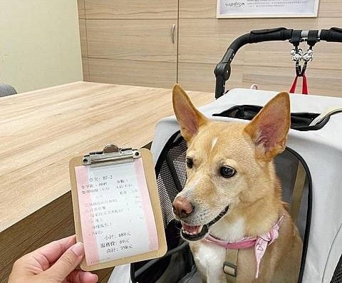 woosaパンケーキ 屋莎鬆餅屋