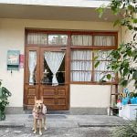 petsyoyo寵遊網-台中寵物友善餐廳 home home 米克斯菲菲的走跳日記提供