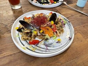 petsyoyo寵遊網-台中寵物友善餐廳 home home 米克斯菲菲的走跳日記提供