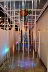 petsyoyo寵遊網-桃園中壢寵物友善餐廳 幻境FantasyCafe 小珊珊提供