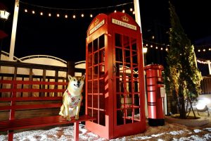 petsyoyo寵遊網-桃園中壢寵物友善餐廳 幻境FantasyCafe 小珊珊提供