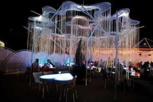 petsyoyo寵遊網-桃園中壢寵物友善餐廳 幻境FantasyCafe 小珊珊提供