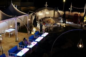 petsyoyo寵遊網-桃園中壢寵物友善餐廳 幻境FantasyCafe 小珊珊提供