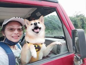 petsyoyo寵遊網-屏東墾丁寵物友善旅遊 牛教練-墾丁大腳旅遊_小珊珊提供