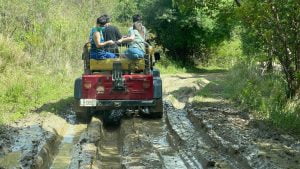 petsyoyo寵遊網-屏東墾丁寵物友善旅遊 牛教練-墾丁大腳旅遊_小珊珊提供