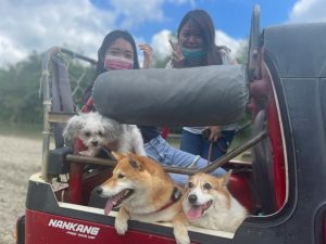 petsyoyo寵遊網-屏東墾丁寵物友善旅遊 牛教練-墾丁大腳旅遊_小珊珊提供