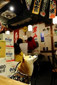 petsyoyo寵遊網-新北永和寵物友善餐廳 醉衍居居酒屋 小珊珊提供