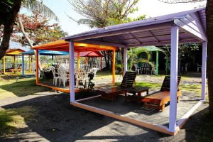 petsyoyo寵遊網-屏東墾丁寵物友善餐廳 魔幻咖啡 小珊珊提供