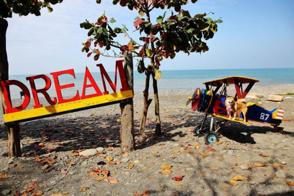 petsyoyo寵遊網-屏東墾丁寵物友善餐廳 魔幻咖啡 小珊珊提供