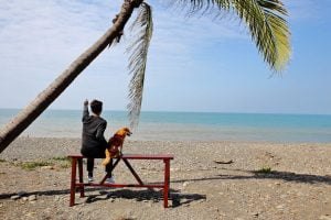 petsyoyo寵遊網-屏東墾丁寵物友善餐廳 魔幻咖啡 小珊珊提供