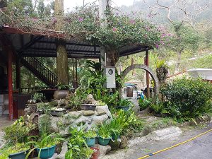 petsyoyo寵遊網－尚豐山蘇農園民宿