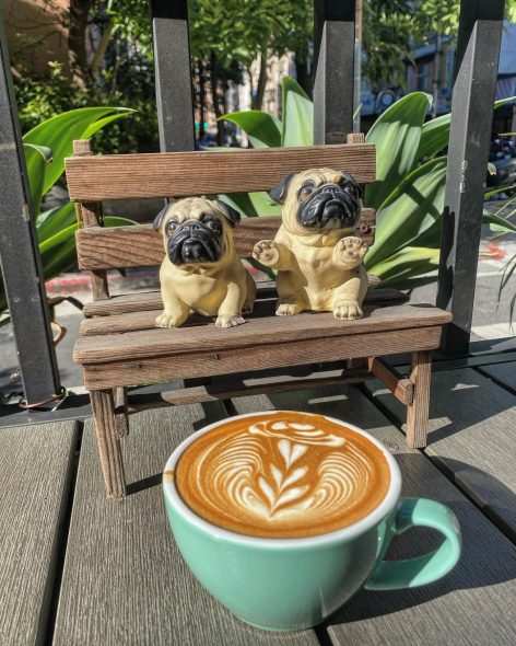台北松山寵物友善餐廳 Coffee Poodle Cafè
