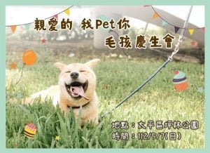 寵物新聞-台中寵物野餐 毛孩家人台中市動保處辦慶生會今開放報名