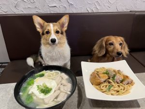 新北永和寵物友善餐廳 狂魔炒飯 x 餓鬼糧倉-永和店