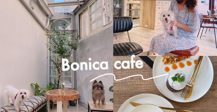 petsyoyo寵物新聞媒體平台-Bonica Café 台北大安寵物友善餐廳 嚕咪醬的玩樂生活