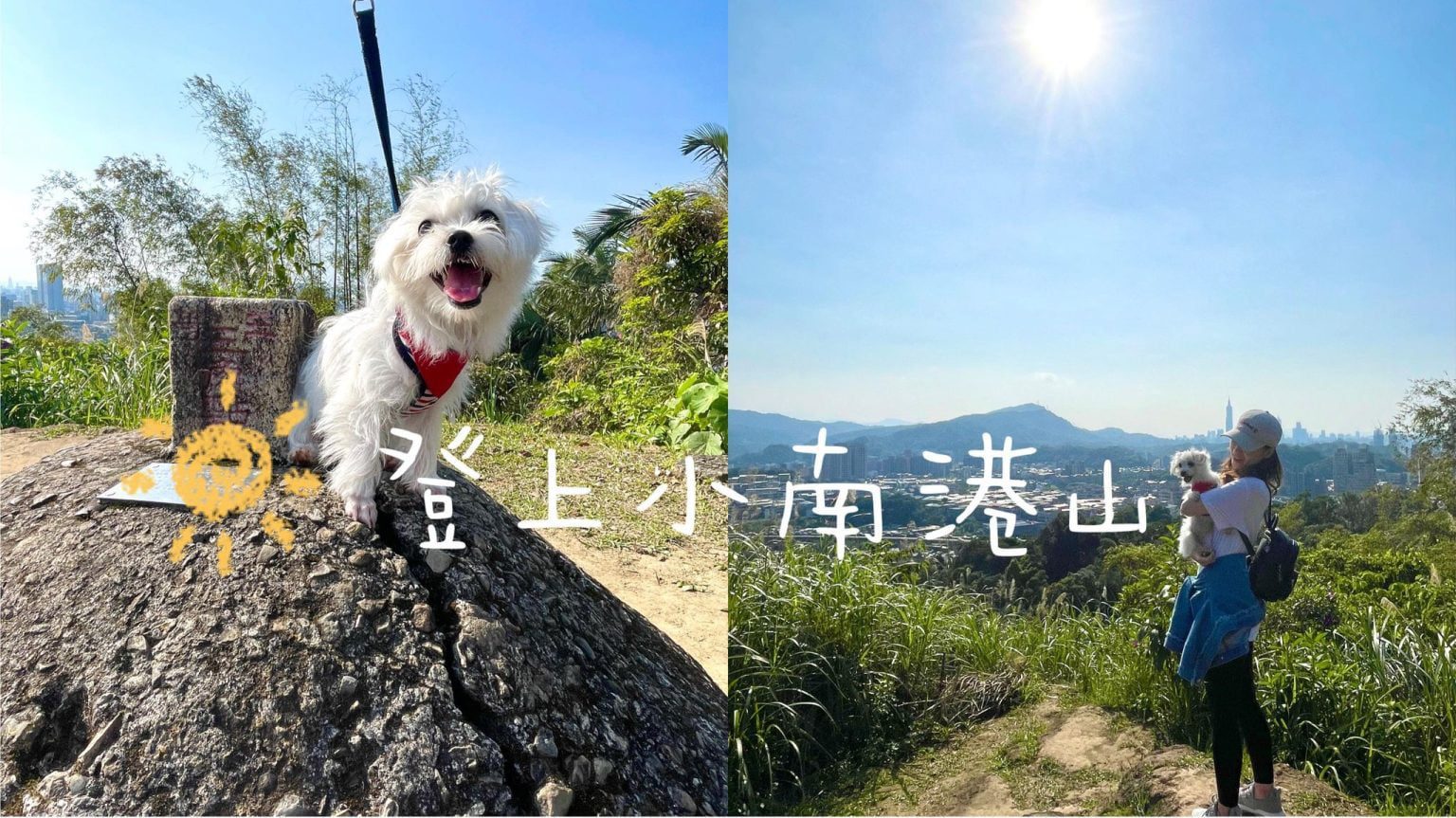 petsyoyo寵物新聞媒體平台-小南港山 台北寵物友善景點 嚕咪醬的玩樂生活