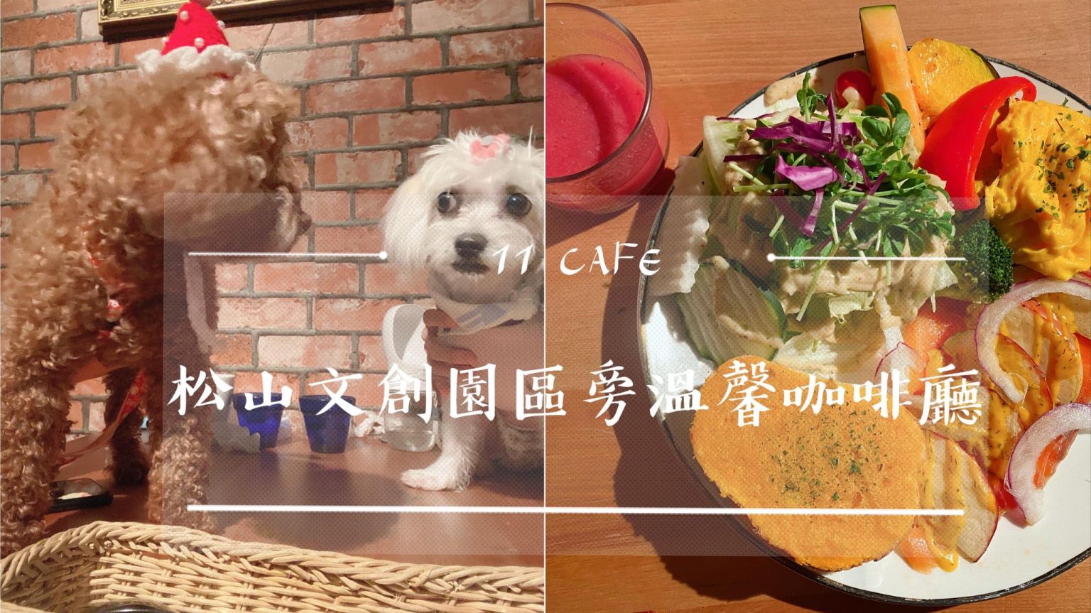 petsyoyo寵物新聞媒體平台-11 CAFE 台北松山寵物友善餐廳 嚕咪醬的玩樂生活