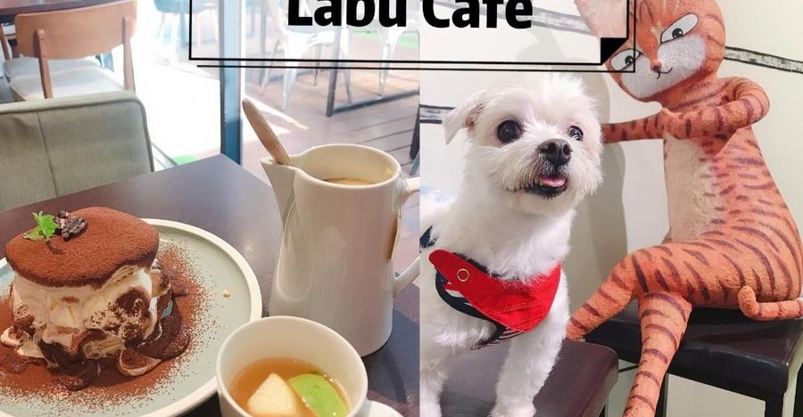 petsyoyo寵物新聞媒體平台-Labu Cafe 台北寵物友善餐廳 嚕咪醬的玩樂生活