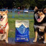 寵物飼料推薦 Blue Buffalo藍饌天然寵糧 小珊珊提供