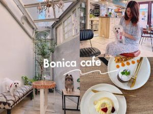 Bonica-Café 玻㻙屋寵物友善餐廳 跟著鹿比與嚕咪一起看世界